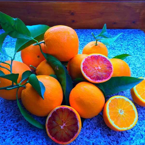 Arance del mulino cartone da 10 kg