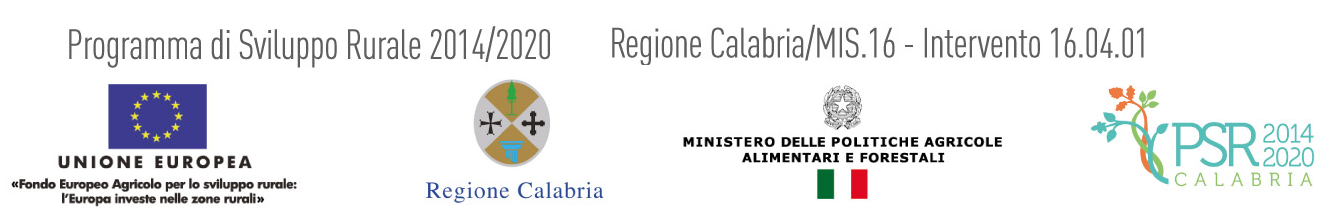 logo regione Mis. 16.4.1